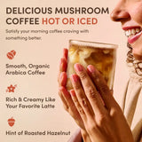 Mushroom Coffee 1M2