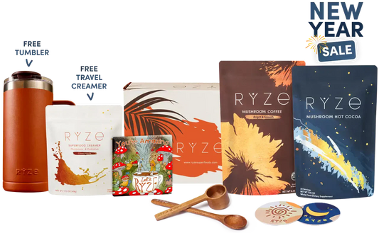Day + Night Bundle DYL