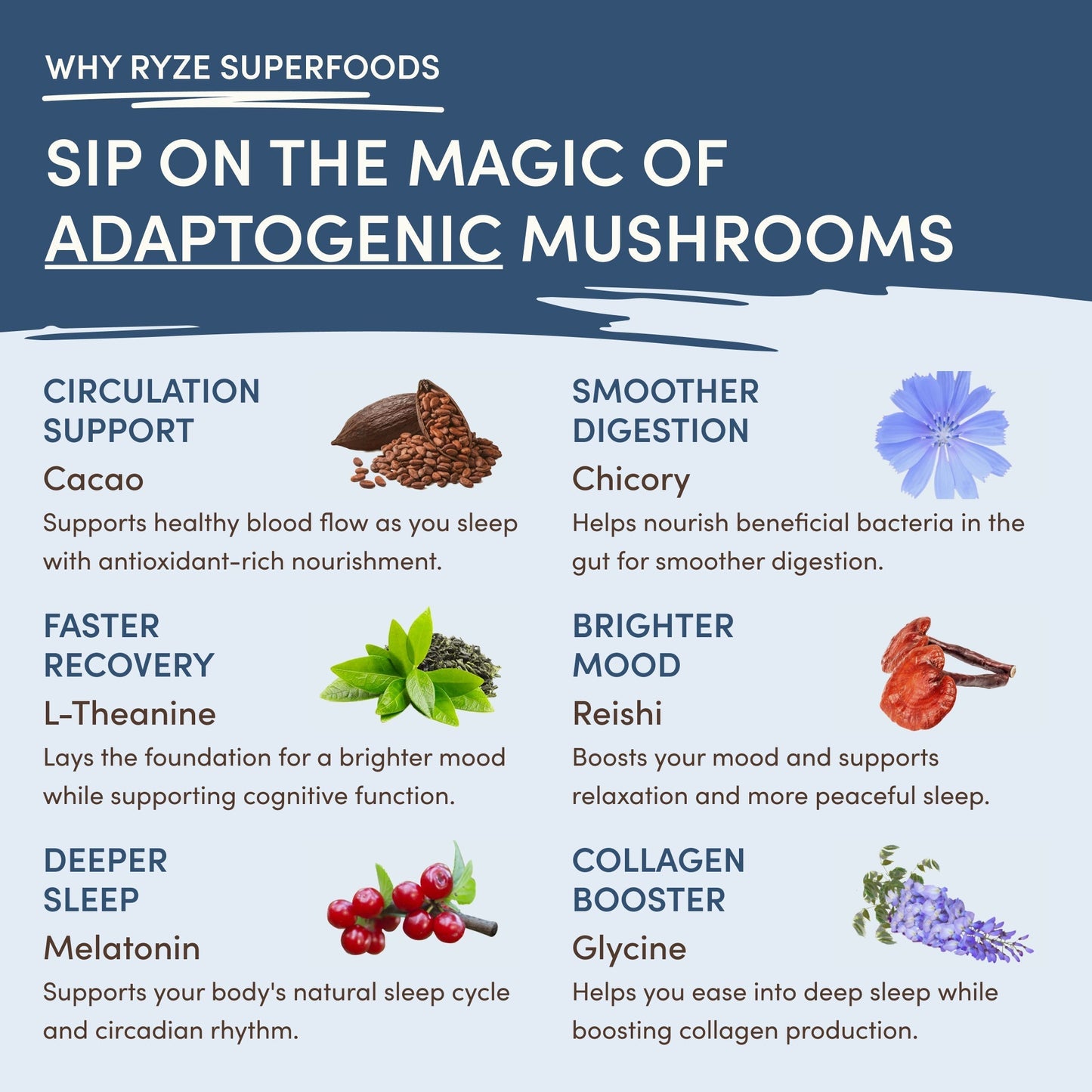 Mushroom Hot Cocoa K6P