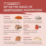 Mushroom Chai ONS