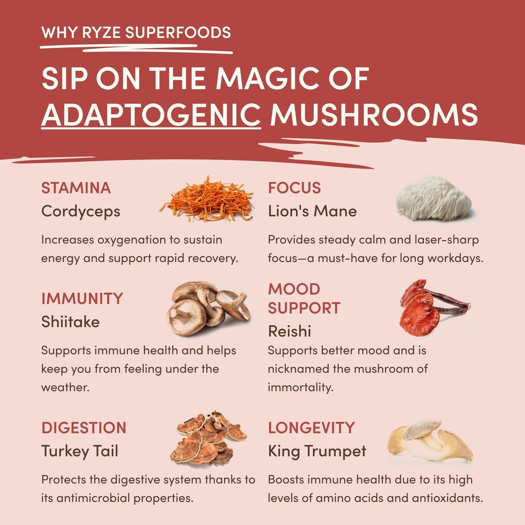 Mushroom Chai ONS